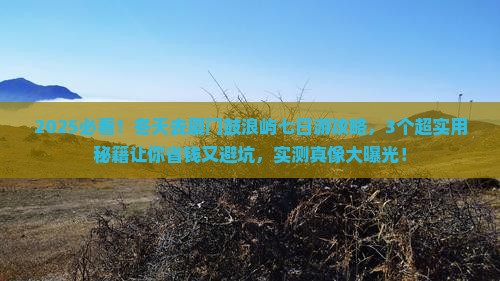 冬天去厦门鼓浪屿七日游