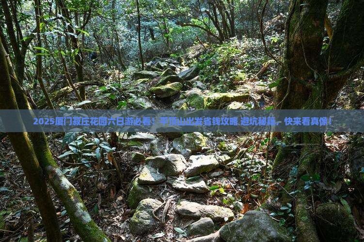平顶山到厦门菽庄花园六日游