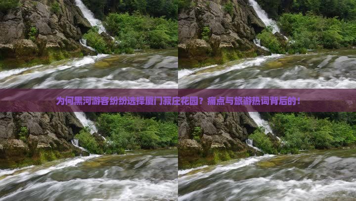 为何黑河游客纷纷选择厦门菽庄花园？痛点与旅游热词背后的！