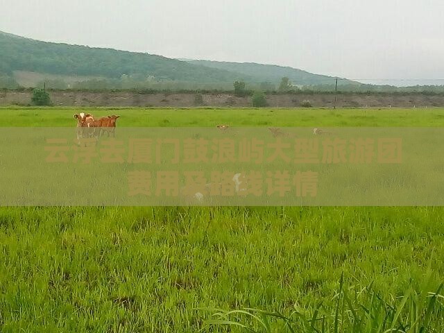 云浮去厦门鼓浪屿大型旅游团费用及路线详情