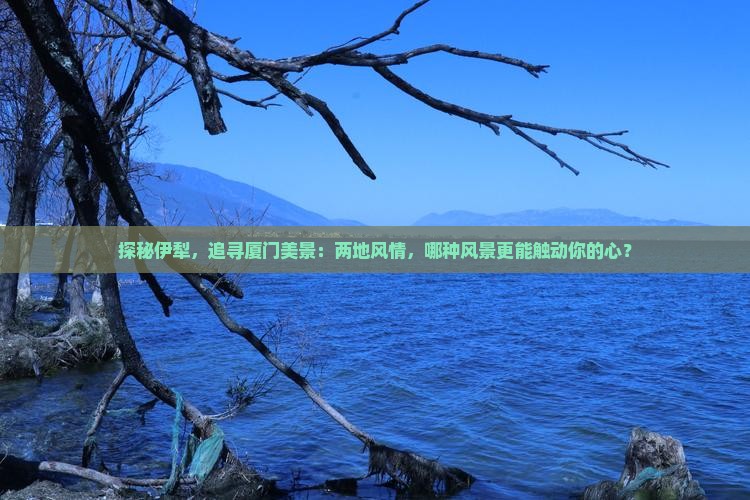 探秘伊犁，追寻厦门美景：两地风情，哪种风景更能触动你的心？