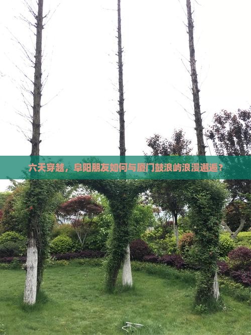 六天穿越，阜阳朋友如何与厦门鼓浪屿浪漫邂逅？