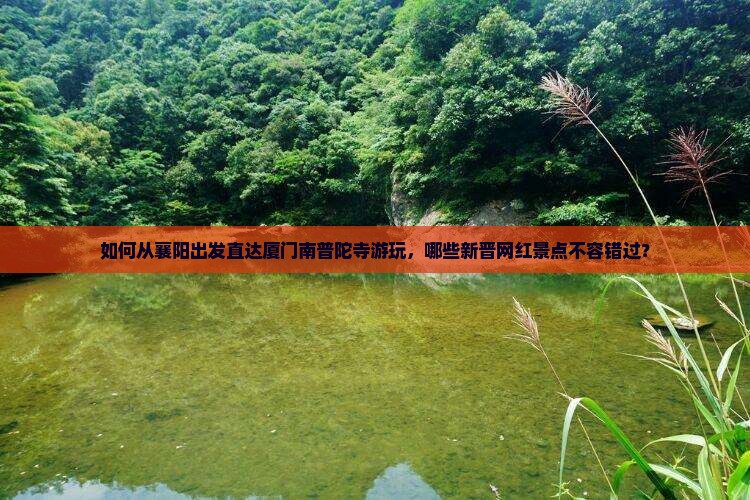 如何从襄阳出发直达厦门南普陀寺游玩，哪些新晋网红景点不容错过？