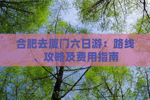 合肥去厦门六日游：路线、攻略及费用指南