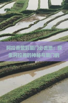 阿拉善盟到厦门必去地：探索阿拉善的神秘与厦门的风情