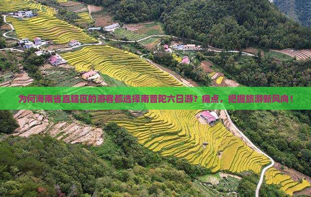 为何海南省直辖区的游客都选择南普陀六日游？痛点，把握旅游新风向！