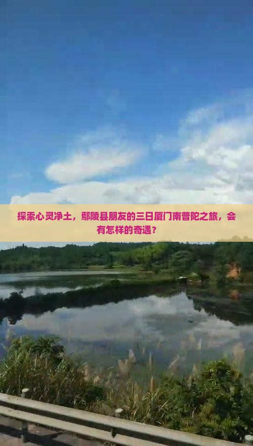 探索心灵净土，鄢陵县朋友的三日厦门南普陀之旅，会有怎样的奇遇？
