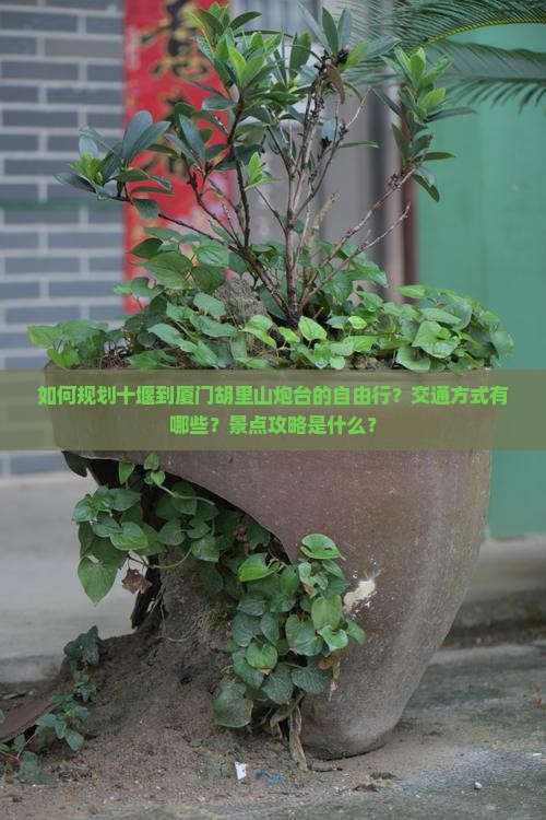 如何规划十堰到厦门胡里山炮台的自由行？交通方式有哪些？景点攻略是什么？