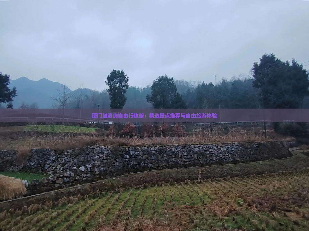 厦门鼓浪屿自由行攻略：精选景点推荐与自由旅游体验