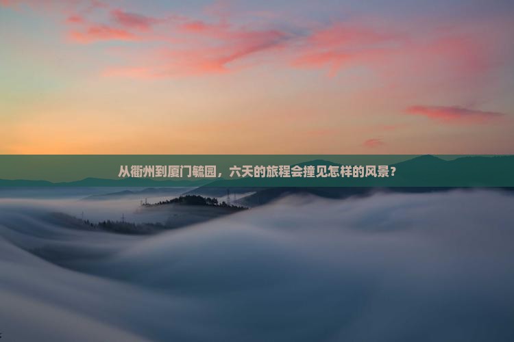 从衢州到厦门毓园，六天的旅程会撞见怎样的风景？
