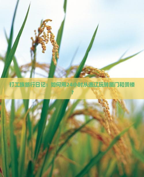 打工族旅行日记：如何用24小时从通辽玩转厦门和贵楼？