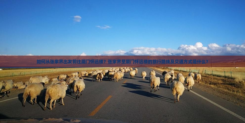 如何从张家界出发前往厦门怀远楼？张家界至厦门怀远楼的旅行路线及交通方式是什么？