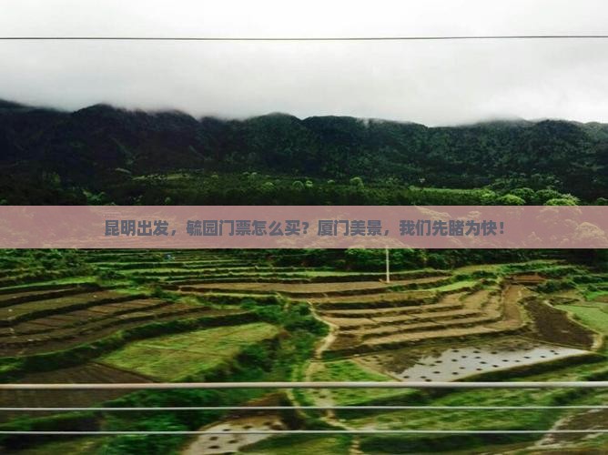 昆明出发，毓园门票怎么买？厦门美景，我们先睹为快！