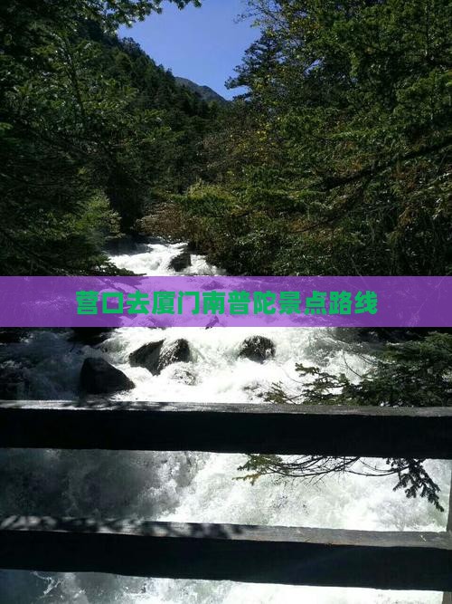 营口去厦门南普陀景点路线
