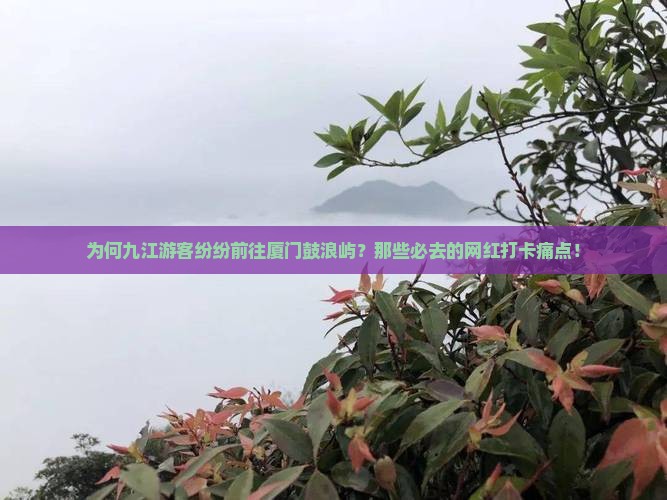 为何九江游客纷纷前往厦门鼓浪屿？那些必去的网红打卡痛点！