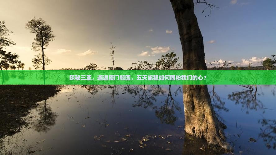 探秘三亚，邂逅厦门毓园，五天旅程如何圈粉我们的心？