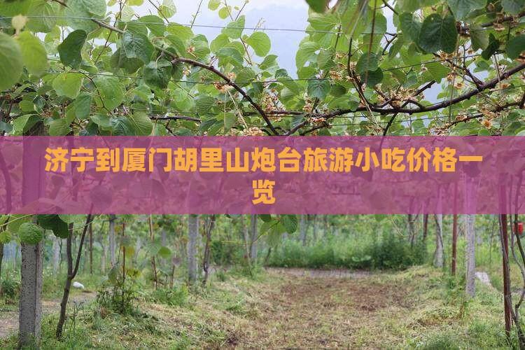 济宁到厦门胡里山炮台旅游小吃价格一览