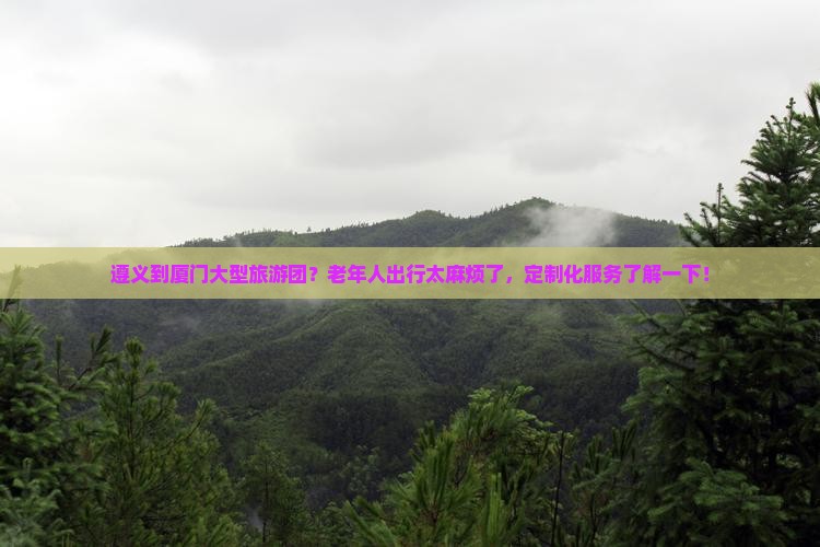 遵义到厦门大型旅游团？老年人出行太麻烦了，定制化服务了解一下！
