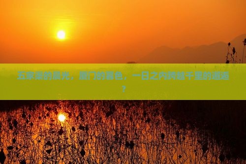五家渠的晨光，厦门的暮色，一日之内跨越千里的邂逅？