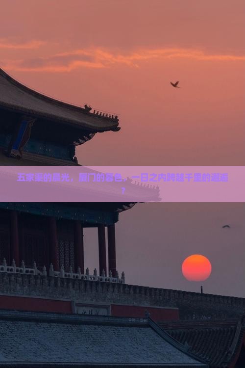 五家渠的晨光，厦门的暮色，一日之内跨越千里的邂逅？