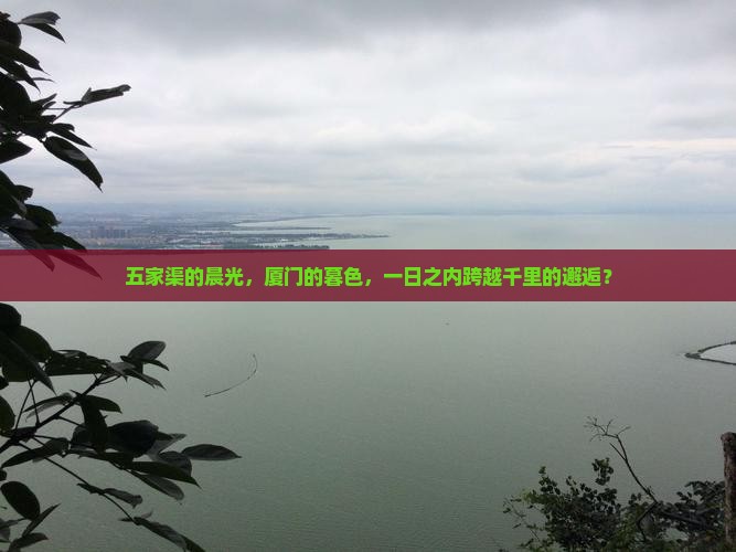 五家渠的晨光，厦门的暮色，一日之内跨越千里的邂逅？