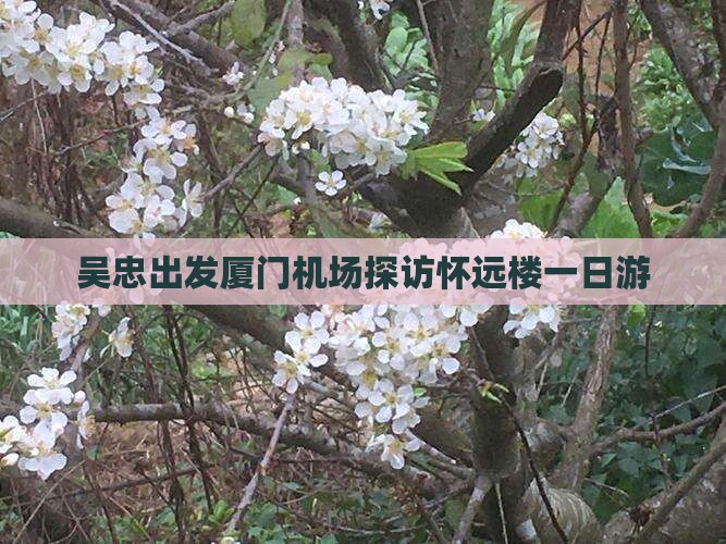 吴忠出发厦门机场探访怀远楼一日游