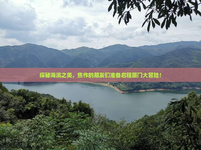 探秘海滨之美，焦作的朋友们准备启程厦门大冒险！