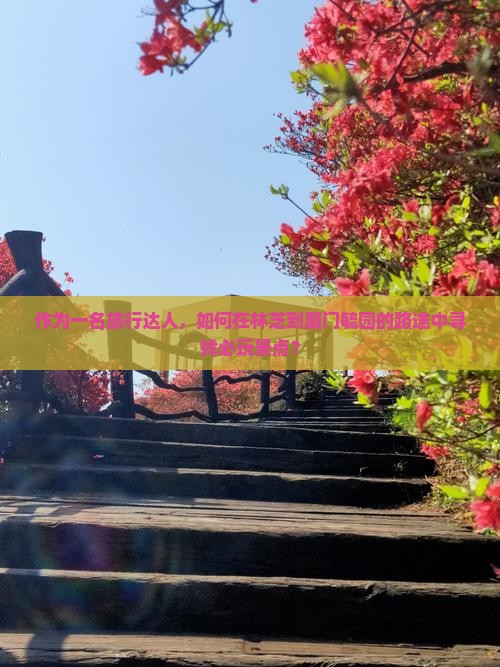 作为一名旅行达人，如何在林芝到厦门毓园的路途中寻找必玩景点？