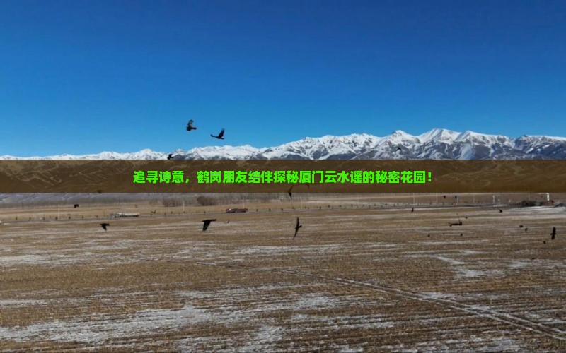 追寻诗意，鹤岗朋友结伴探秘厦门云水谣的秘密花园！