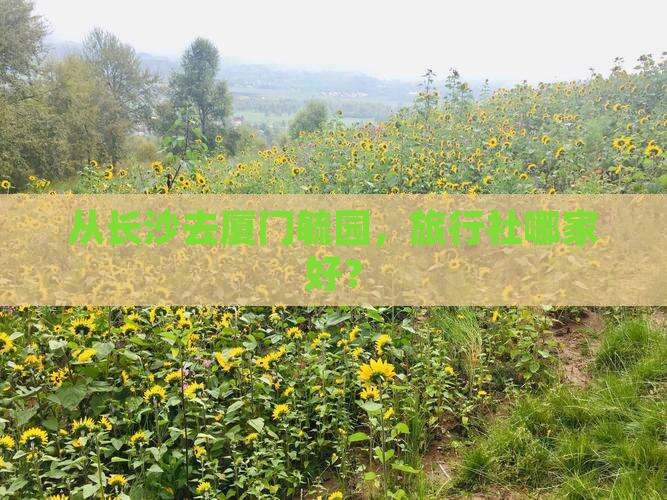 从长沙去厦门毓园，旅行社哪家好？