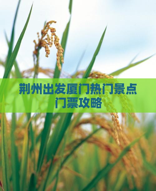 荆州出发厦门热门景点门票攻略 荆州出发厦门热门景点门票攻略