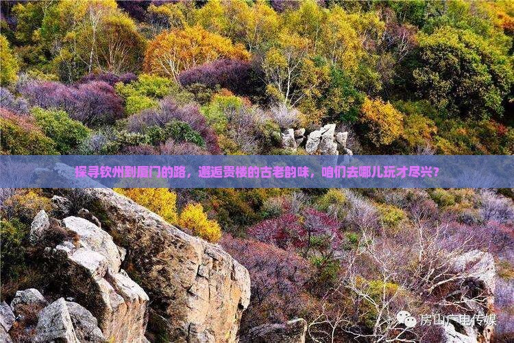 探寻钦州到厦门的路，邂逅贵楼的古老韵味，咱们去哪儿玩才尽兴？