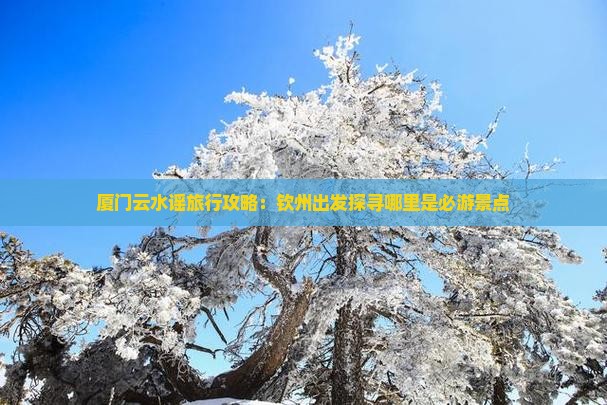 厦门云水谣旅行攻略：钦州出发探寻哪里是必游景点