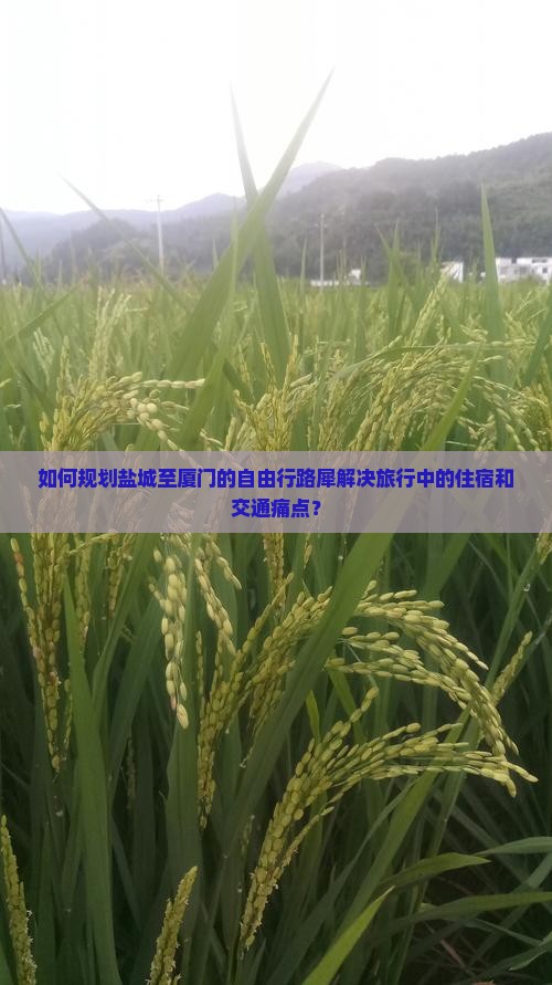 如何规划盐城至厦门的自由行路犀解决旅行中的住宿和交通痛点？