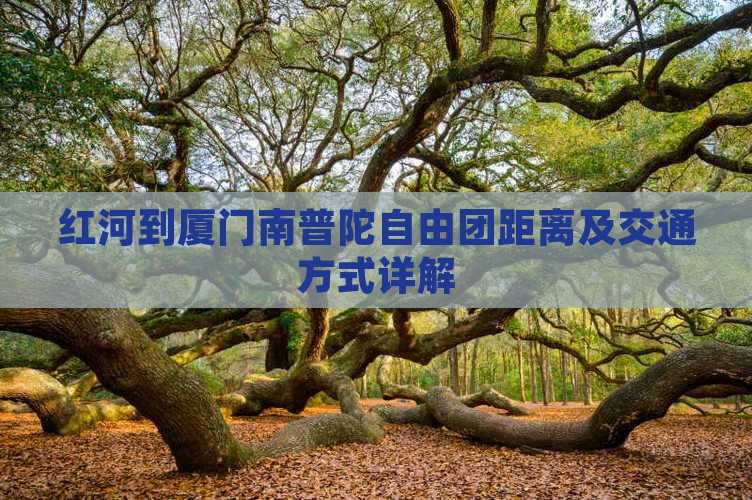 红河到厦门南普陀自由团距离及交通方式详解