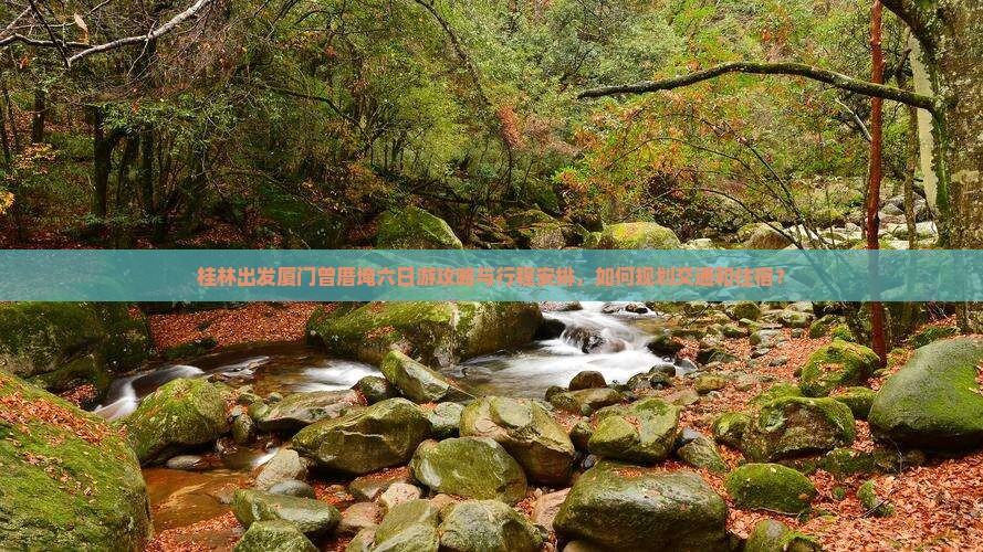 桂林出发厦门曾厝埯六日游攻略与行程安排，如何规划交通和住宿？