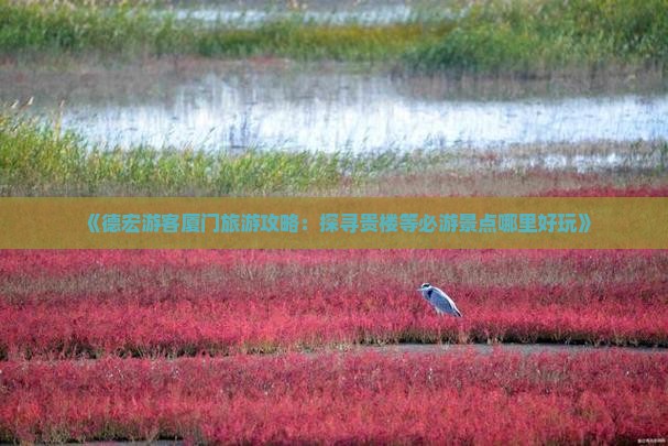 《德宏游客厦门旅游攻略：探寻贵楼等必游景点哪里好玩》