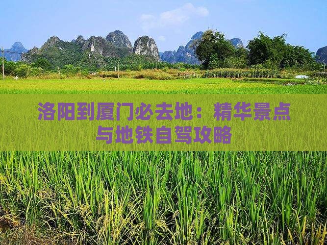 洛阳到厦门必去地：精华景点与地铁自驾攻略