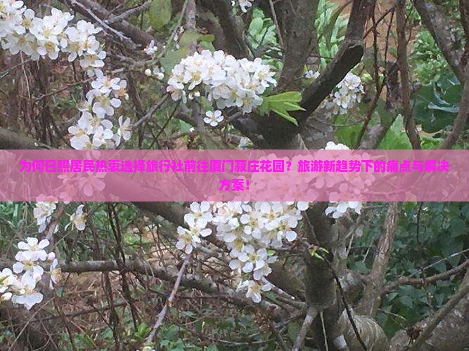 为何日照居民热衷选择旅行社前往厦门菽庄花园？旅游新趋势下的痛点与解决方案！
