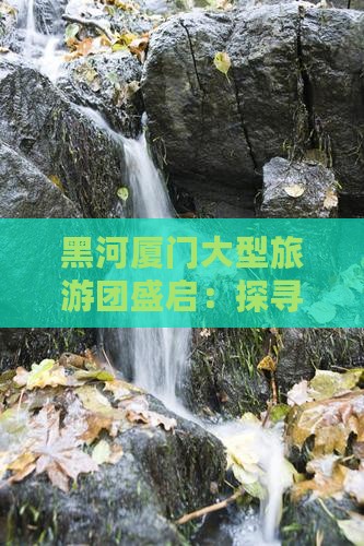 黑河厦门大型旅游团盛启：探寻南方风情之旅