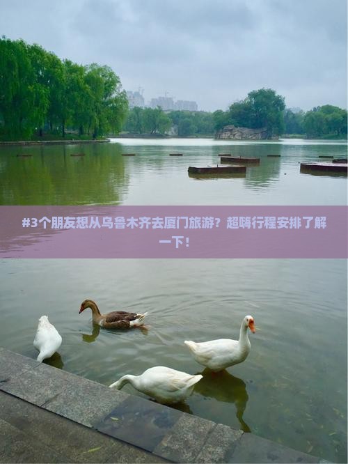 #3个朋友想从乌鲁木齐去厦门旅游？超嗨行程安排了解一下！