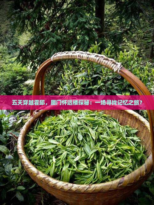 五天穿越霍邱，厦门怀远楼探秘：一场寻找记忆之旅？