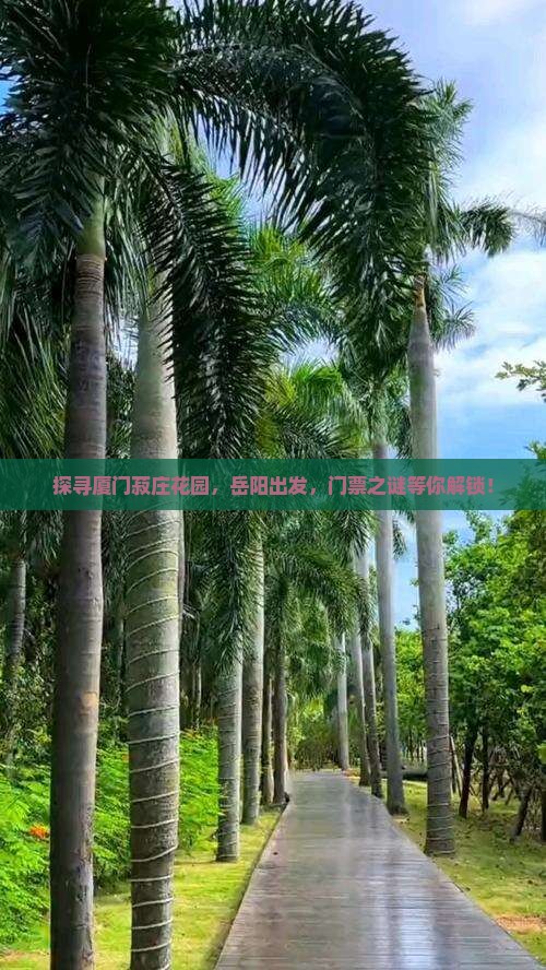 探寻厦门菽庄花园，岳阳出发，门票之谜等你解锁！