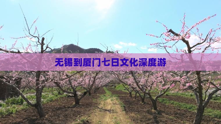 无锡到厦门七日文化深度游