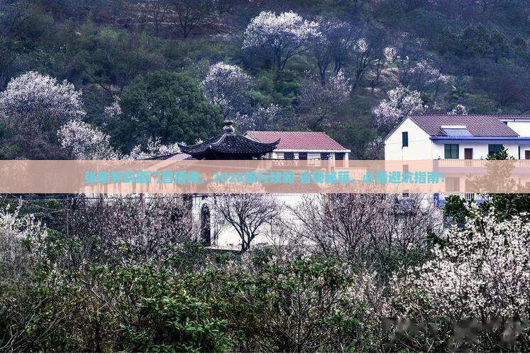 张家界去厦门曾厝埯旅行社 张家界去厦门曾厝埯旅行社