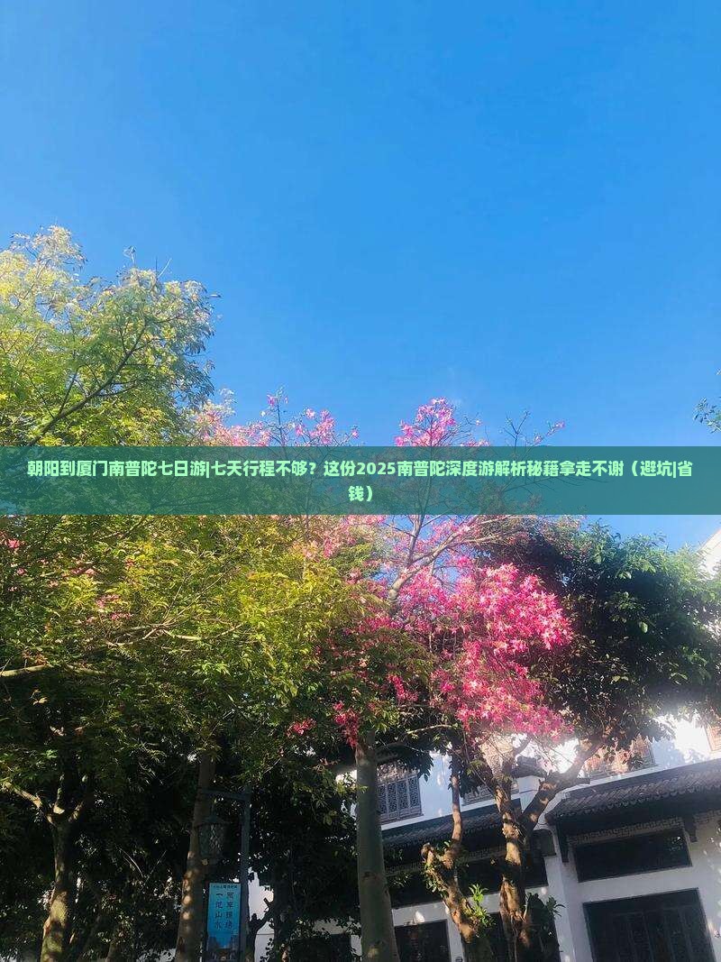 朝阳到厦门南普陀七日游
