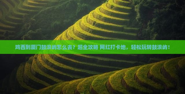 鸡西到厦门鼓浪屿旅行社