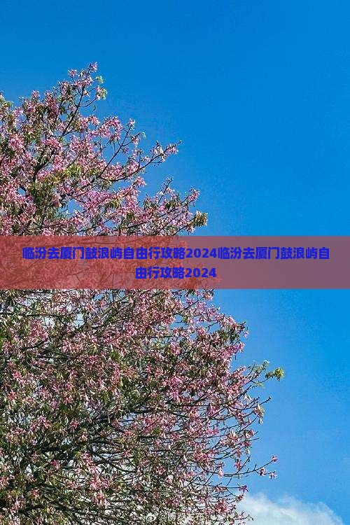 临汾去厦门鼓浪屿自由行