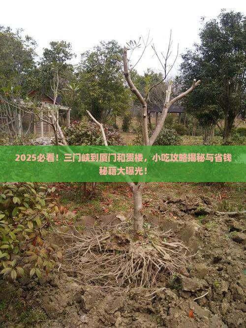 三门峡到厦门和贵楼旅游小吃