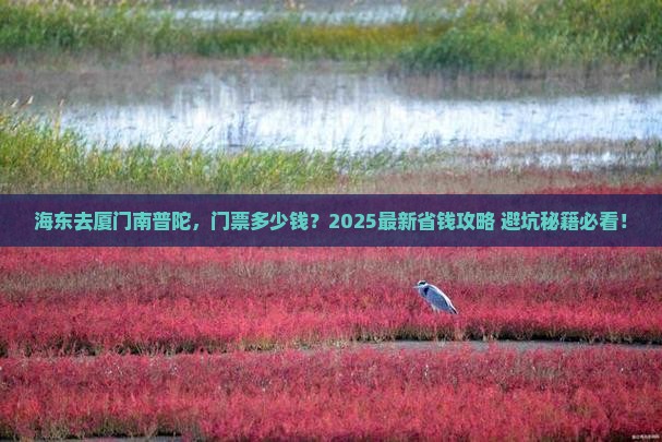 海东到厦门南普陀门票